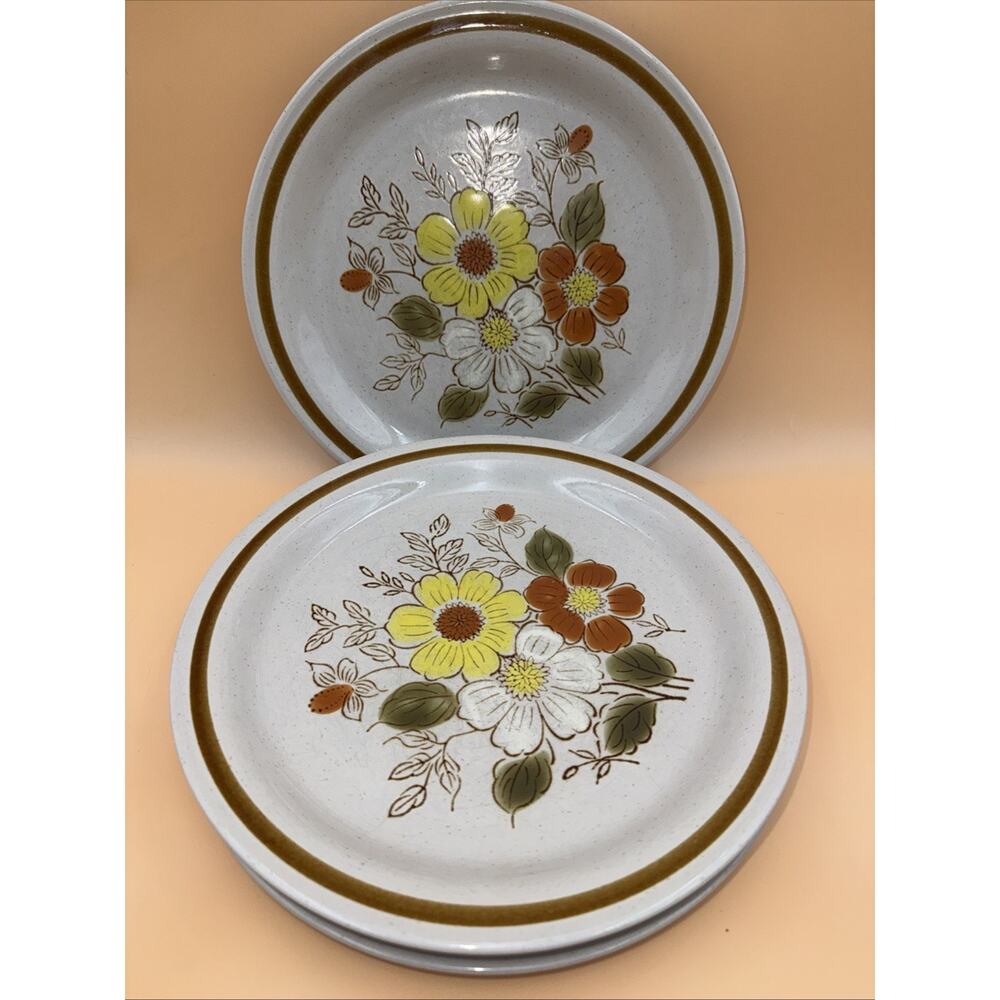 Set Of 4 Old Brook Collection Stoneware ~Stonecreek~ 10 5/8” Dinner Plate, Japan